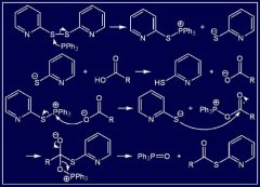 你知道肽的制取方式有哪些么？