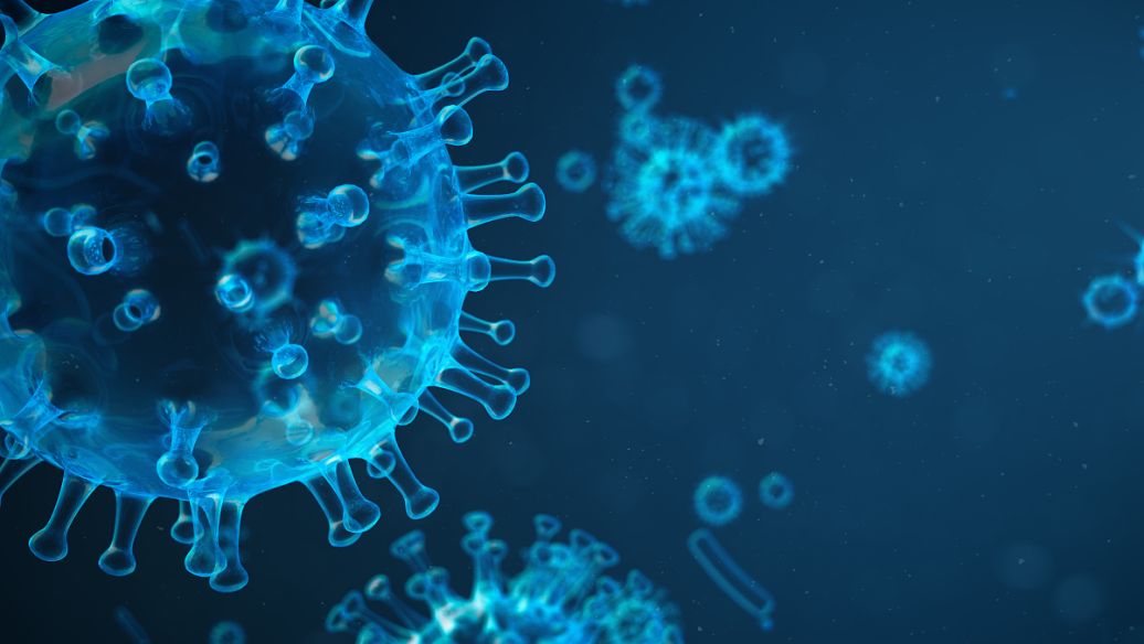 多肽合成與蛋白質(zhì)的關(guān)系